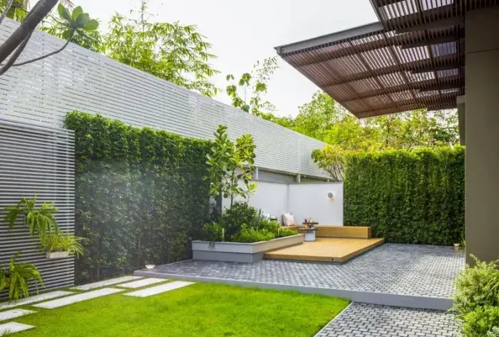 back yard